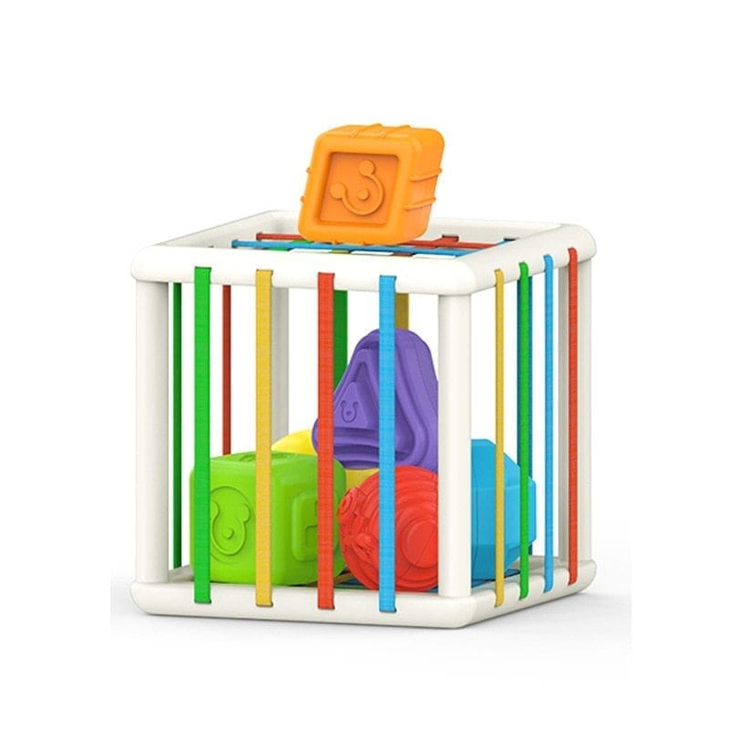 Montessori bloco de classificação especial